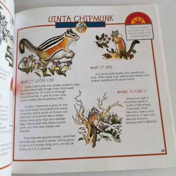 Take Along Guide Rabbits, Squirrels & Chipmunks Book, Fun with Nature Kids book - Picture 9 of 9
